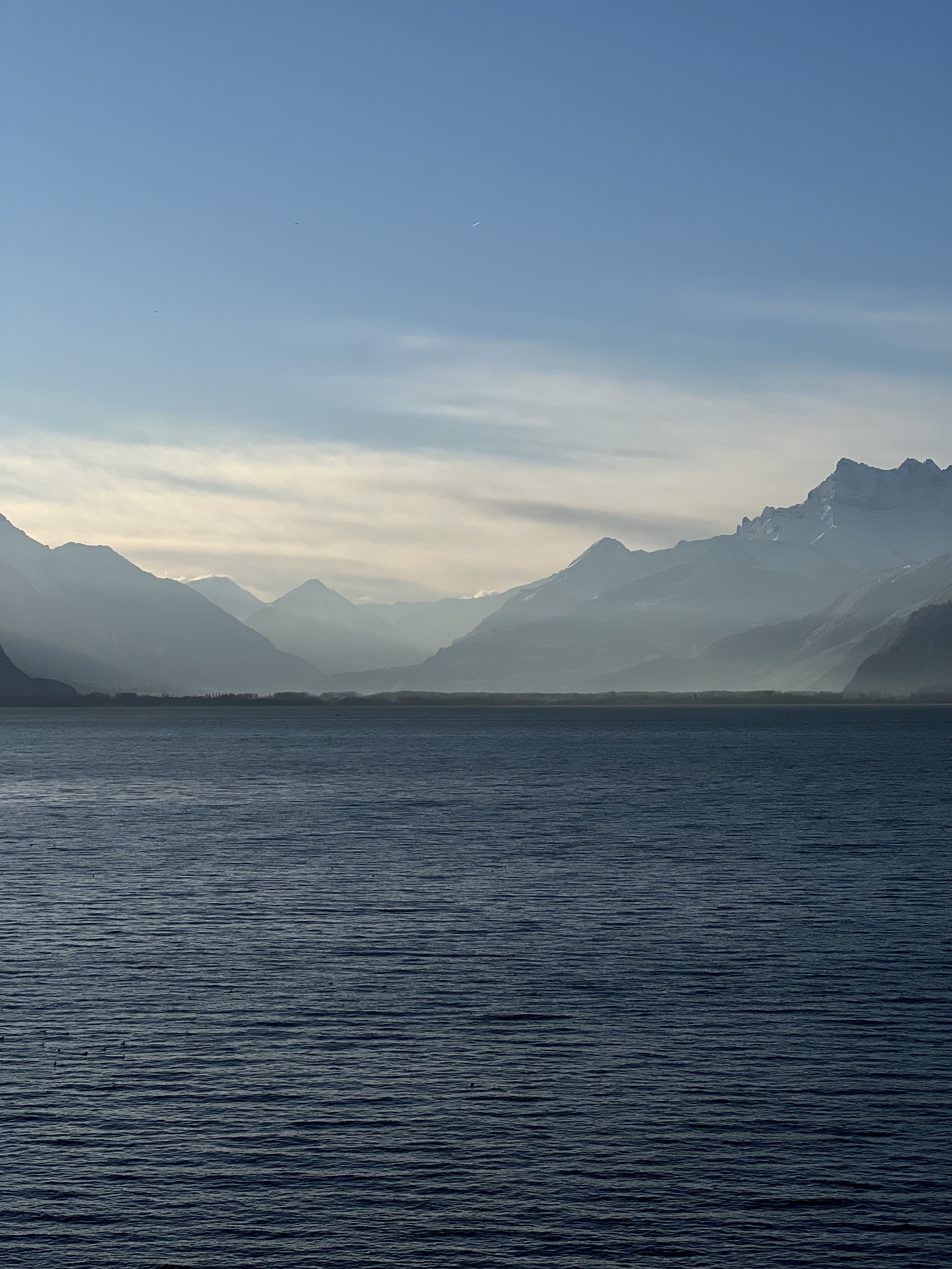 Le Lac Léman et les Alpes depuis Vevey